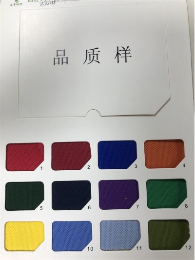 DG-HF 全棉21支珠地 220G 正面照